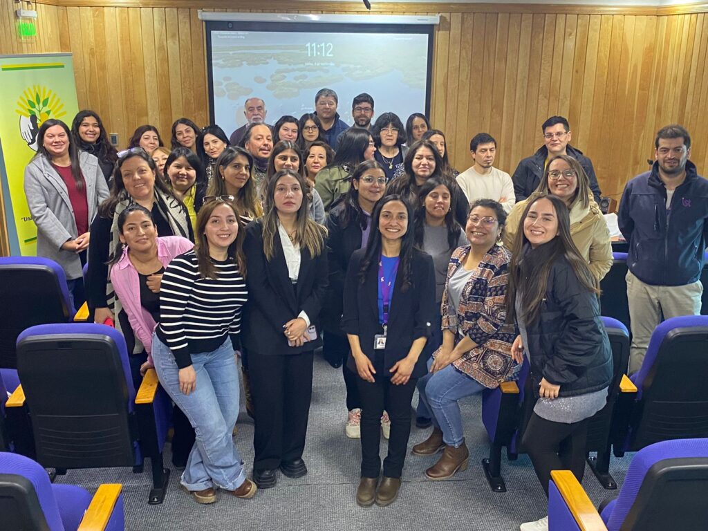 Aspectos generales e implicancias en la labor profesional, Ley 21.303, Ley 19.393, Circular 155 "Generalidades y correcta aplicación"